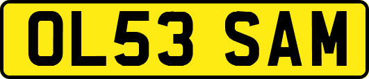 OL53SAM