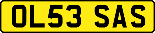 OL53SAS