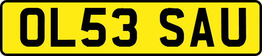 OL53SAU