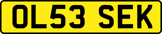 OL53SEK