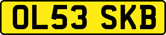 OL53SKB