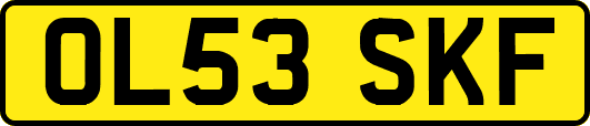 OL53SKF