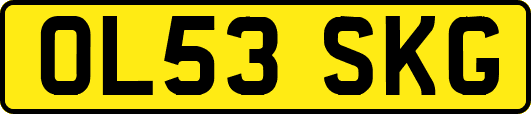 OL53SKG