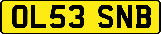 OL53SNB
