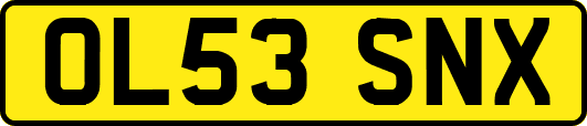 OL53SNX