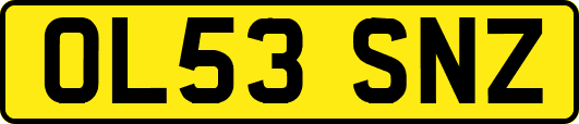 OL53SNZ