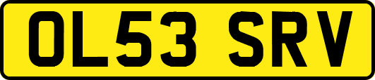 OL53SRV