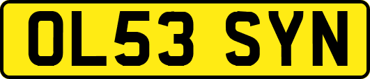 OL53SYN