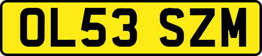 OL53SZM