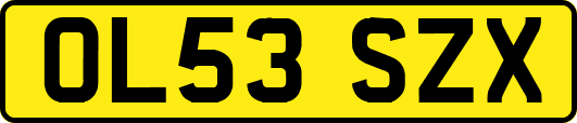 OL53SZX
