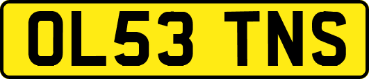 OL53TNS