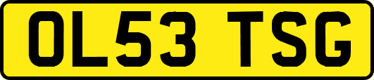 OL53TSG