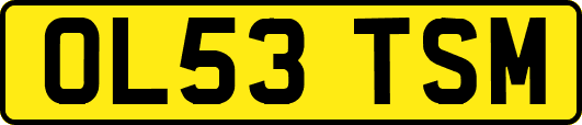 OL53TSM