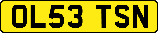 OL53TSN