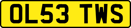 OL53TWS