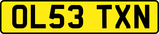 OL53TXN