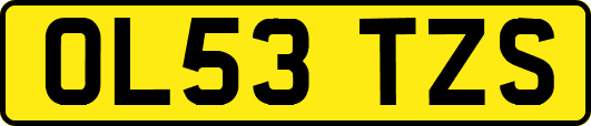 OL53TZS