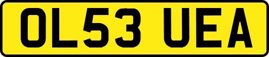OL53UEA