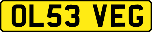 OL53VEG
