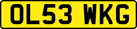 OL53WKG