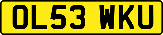 OL53WKU