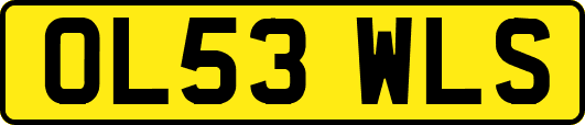 OL53WLS