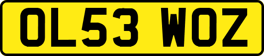 OL53WOZ