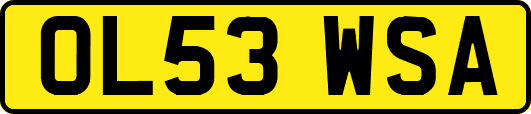 OL53WSA