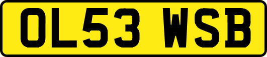 OL53WSB