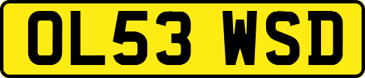 OL53WSD