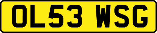 OL53WSG