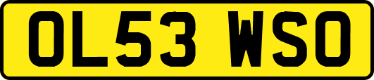 OL53WSO