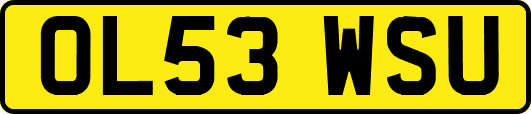 OL53WSU