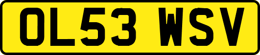 OL53WSV