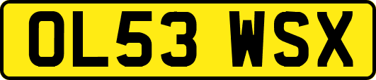 OL53WSX