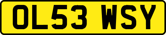 OL53WSY