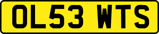 OL53WTS
