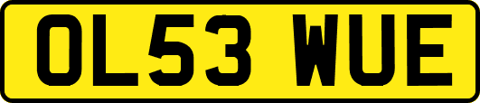 OL53WUE
