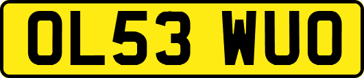OL53WUO