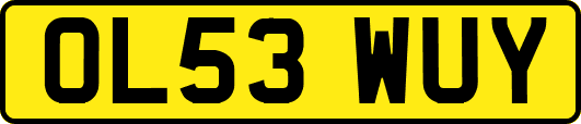 OL53WUY