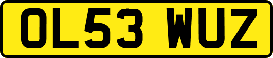 OL53WUZ