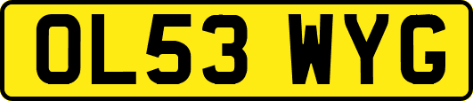 OL53WYG