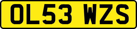 OL53WZS