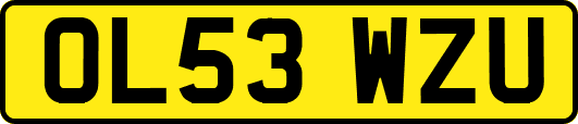 OL53WZU