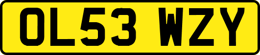 OL53WZY