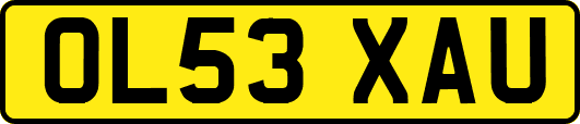 OL53XAU