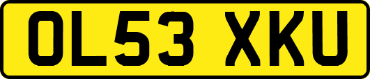 OL53XKU