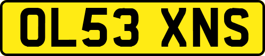 OL53XNS