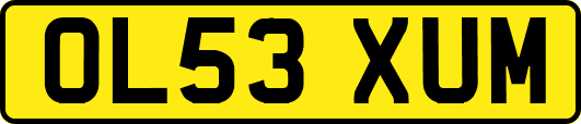 OL53XUM
