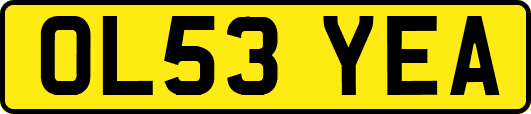OL53YEA
